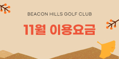 11월요금